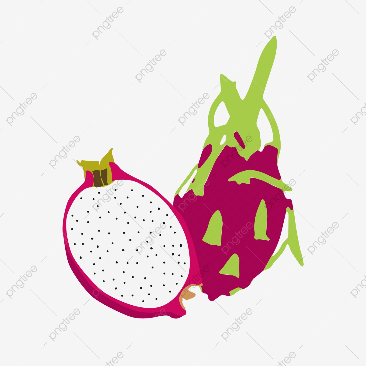 Summer Dragon Fruit Tropical Fruit Red Skin, Cut Open, White.