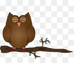 Night Owl PNG.