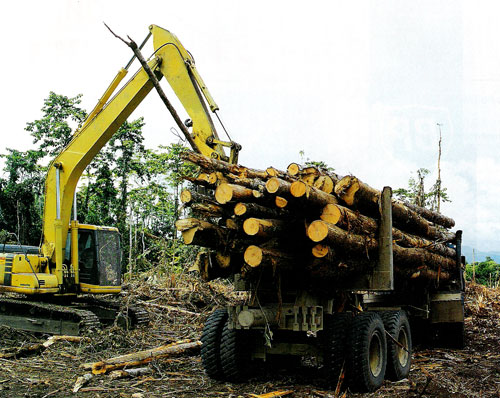 PAPUA NEW GUINEA FOREST INDUSTRIES ASSOCIATION (Inc).