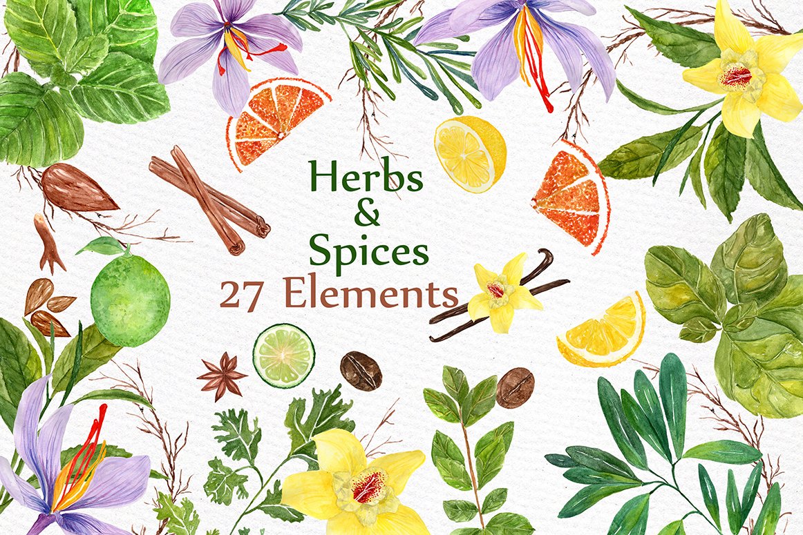 watercolor Herbs and spices clipart.