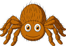 Orange Spider Clipart.