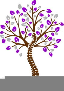 Free Spine Clipart.