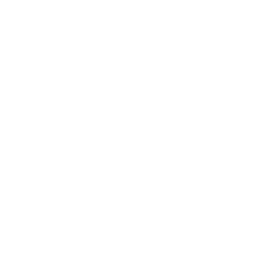 White spotify icon.