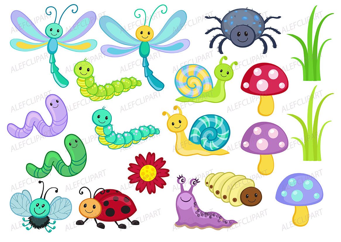 Bugs clipart spring, Bugs spring Transparent FREE for.