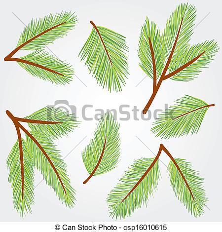 Spruce Twig Clip Art.