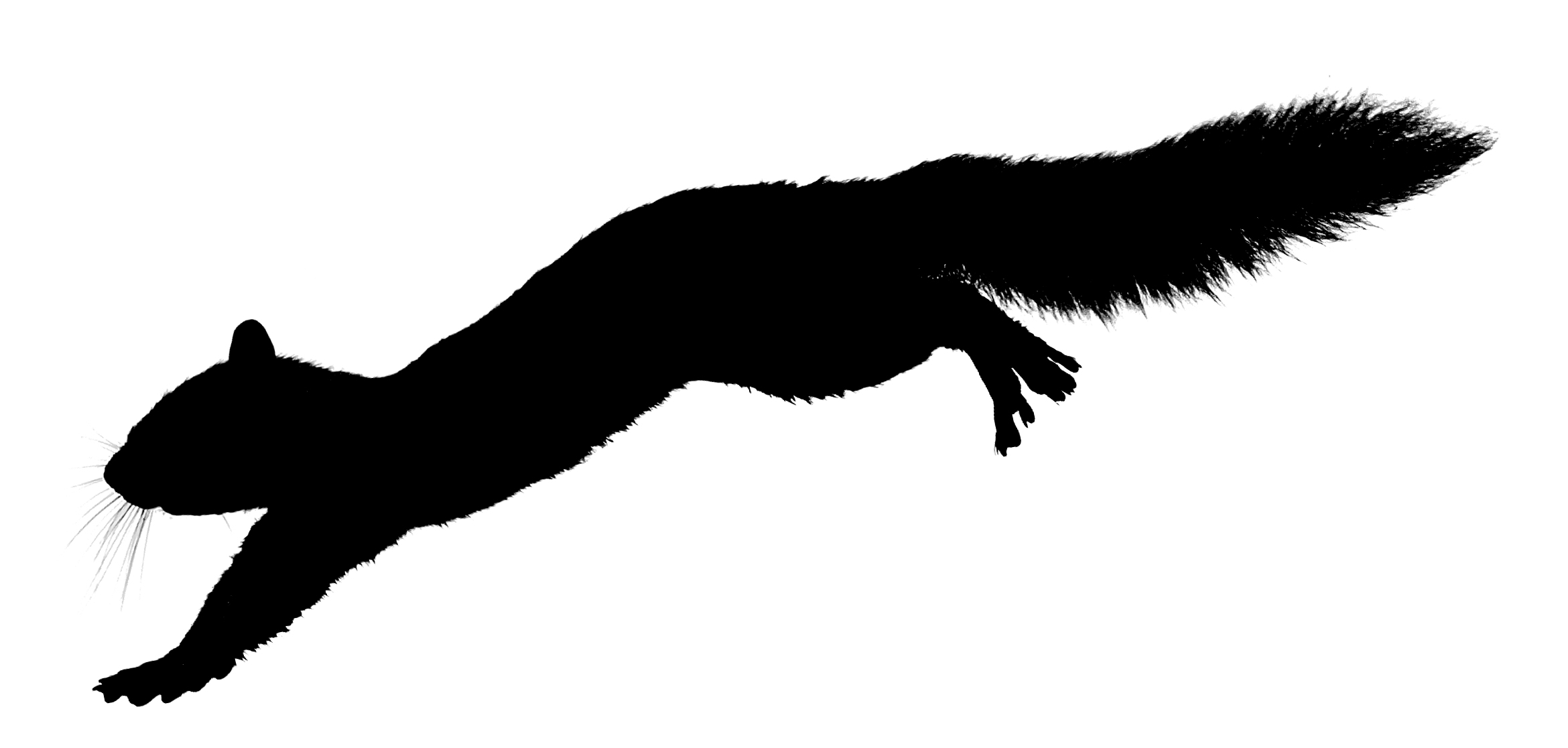 Squirrel Running Clipart.