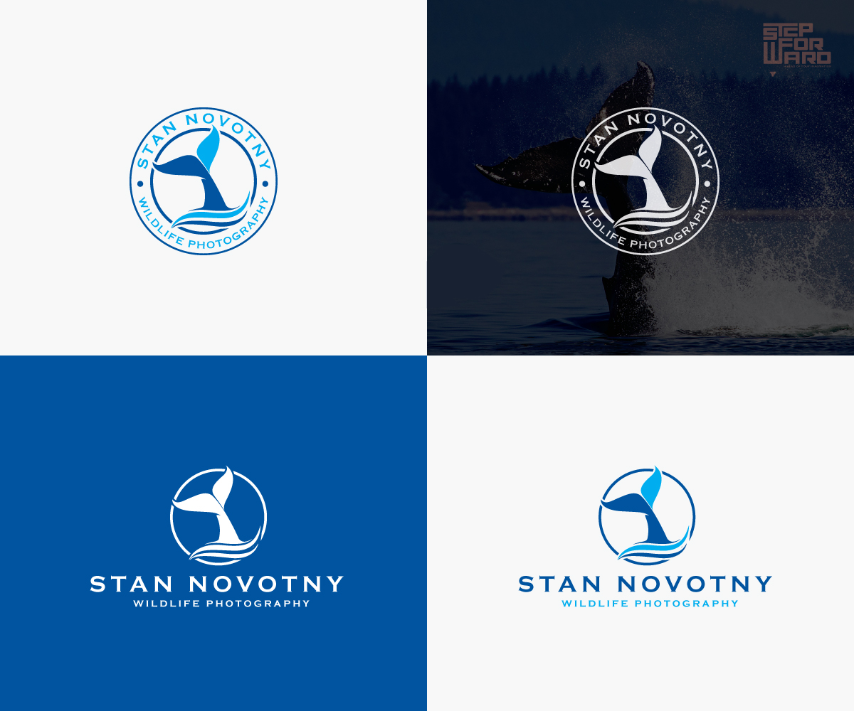 Serious, Bold, Photographer Logo Design for Stan Novotny.