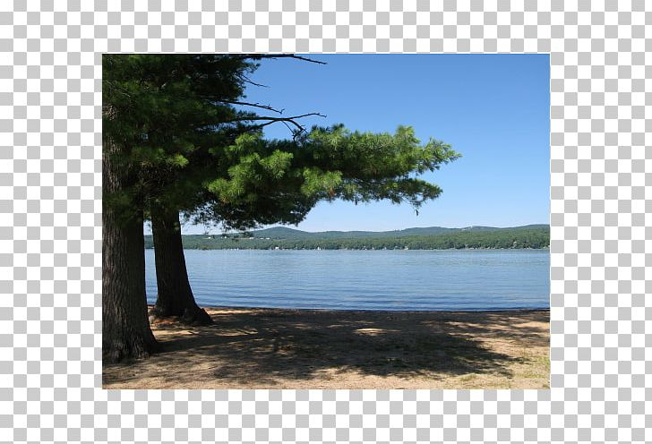 Nature Reserve Loch Land Lot State Park PNG, Clipart, Bay.