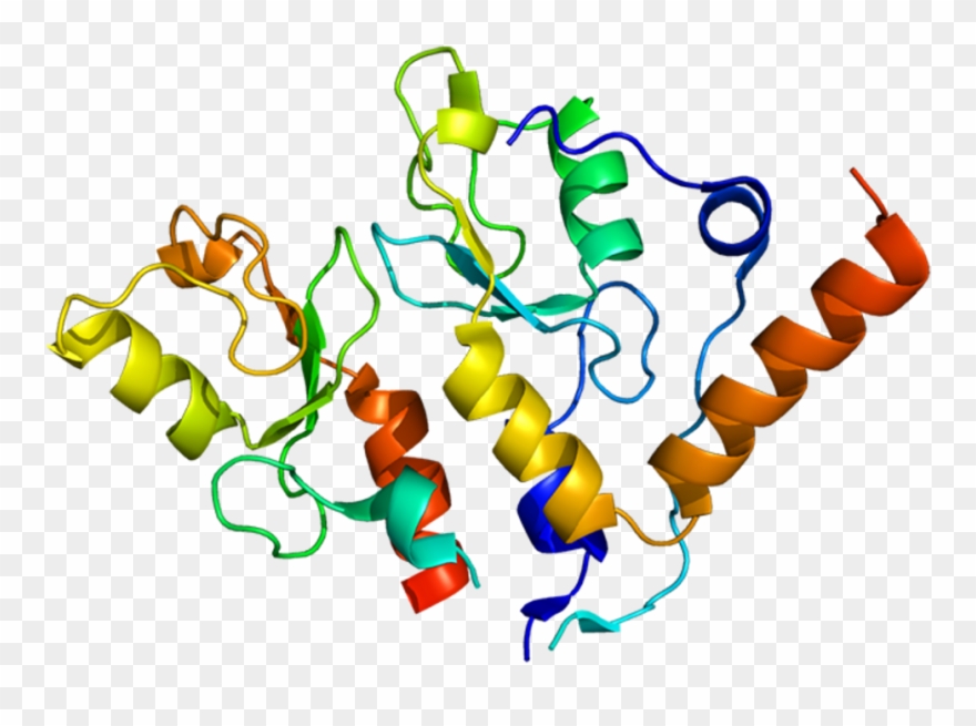 Bmi1 The Stem Cell Self.