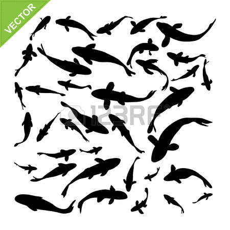 2,366 Striped Fish Stock Vector Illustration And Royalty Free.