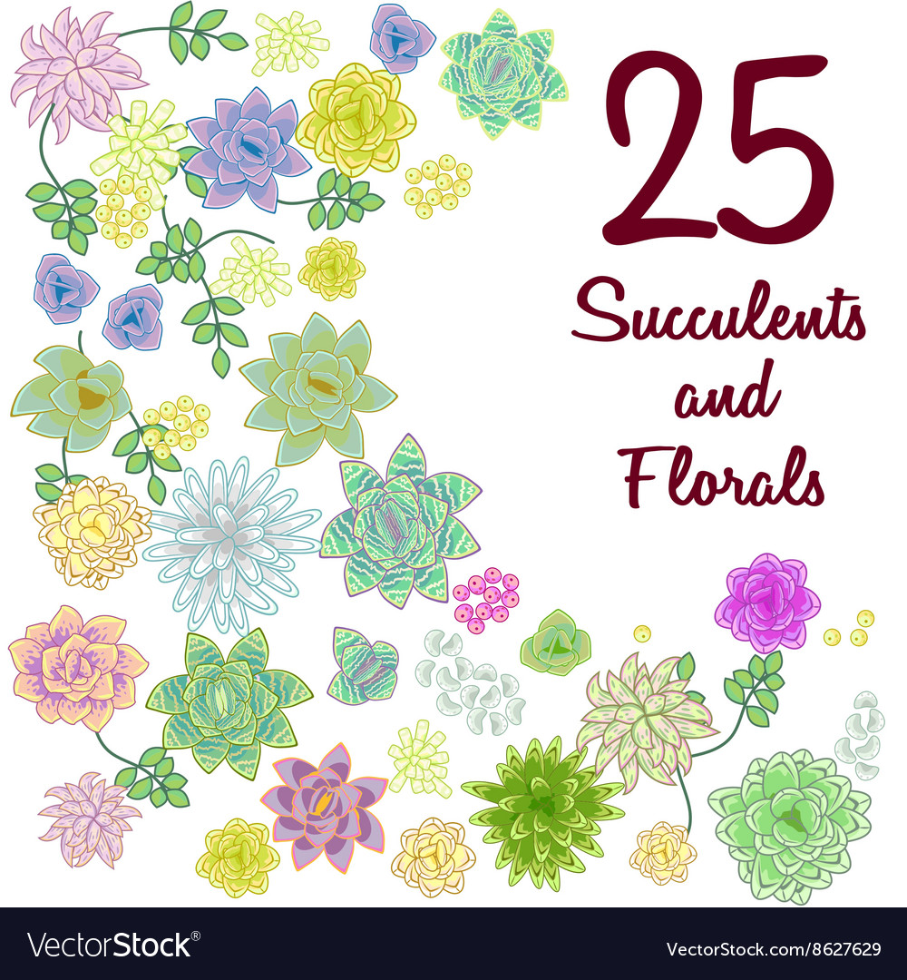 Succulent garden clip art flowers element set.