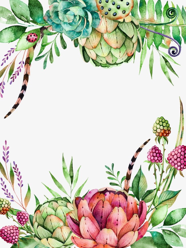 Plantas suculentas PNG Clipart.