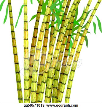 Sugar Cane Clipart.