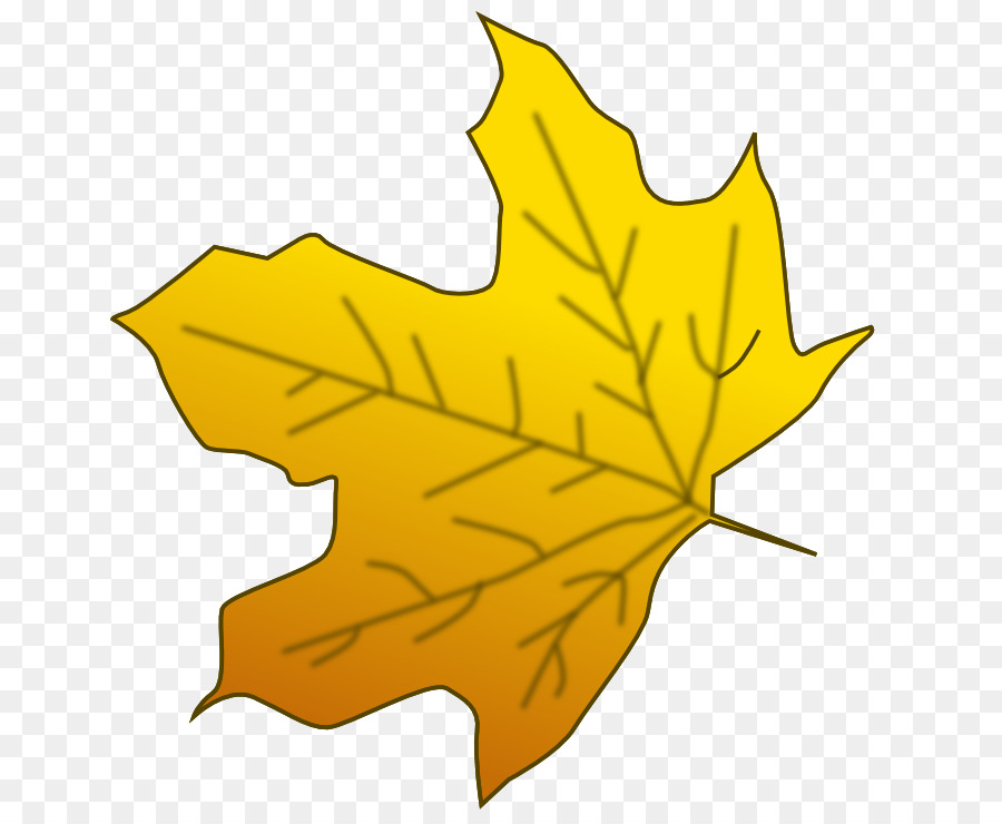 Sugar maple Red maple Maple leaf Yellow Clip art.