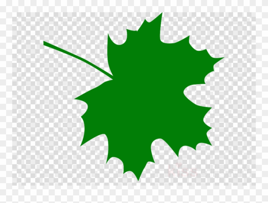 Green Maple Leaf Clipart Maple Leaf Clip Art.