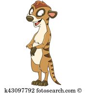 Suricate Clip Art Illustrations. 76 suricate clipart EPS vector.