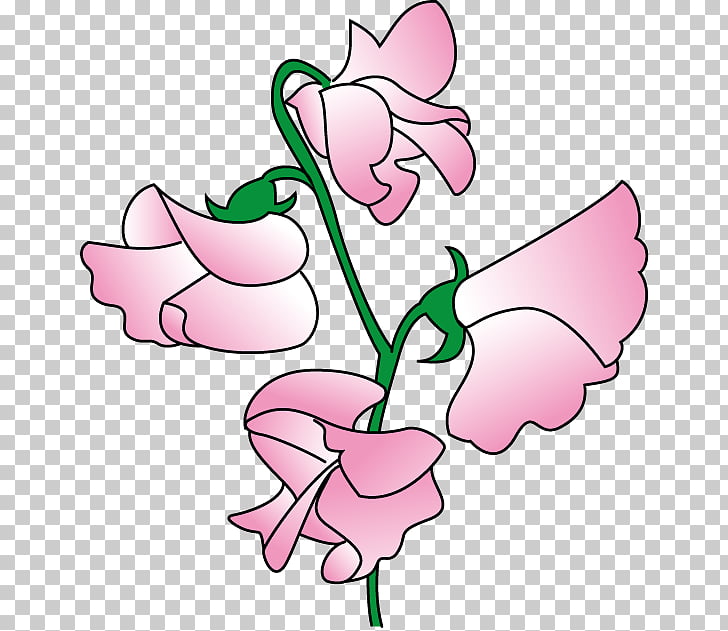 Sweet pea Flower , Pink Peas s PNG clipart.