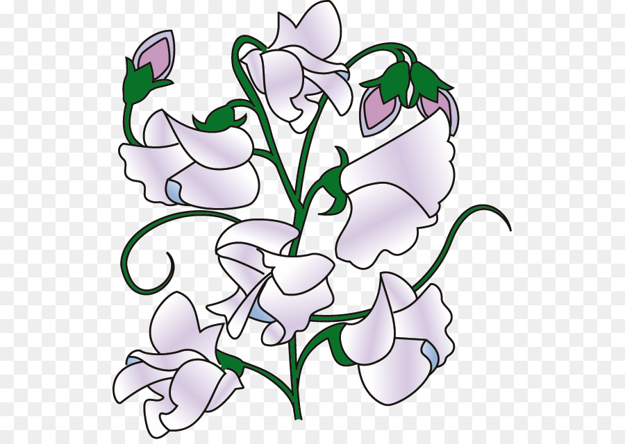 Sweet Pea Flower png download.