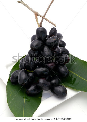 Syzygium Cumini Stock Photos, Royalty.