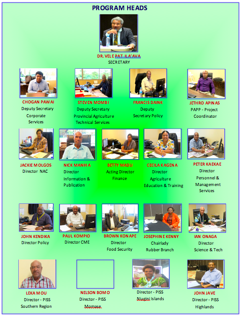 Organisational Structure.