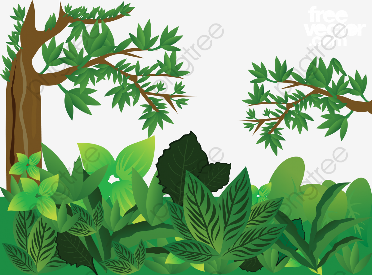 Green Jungle Vector, Trees, Leaves, Big Leaves PNG and.