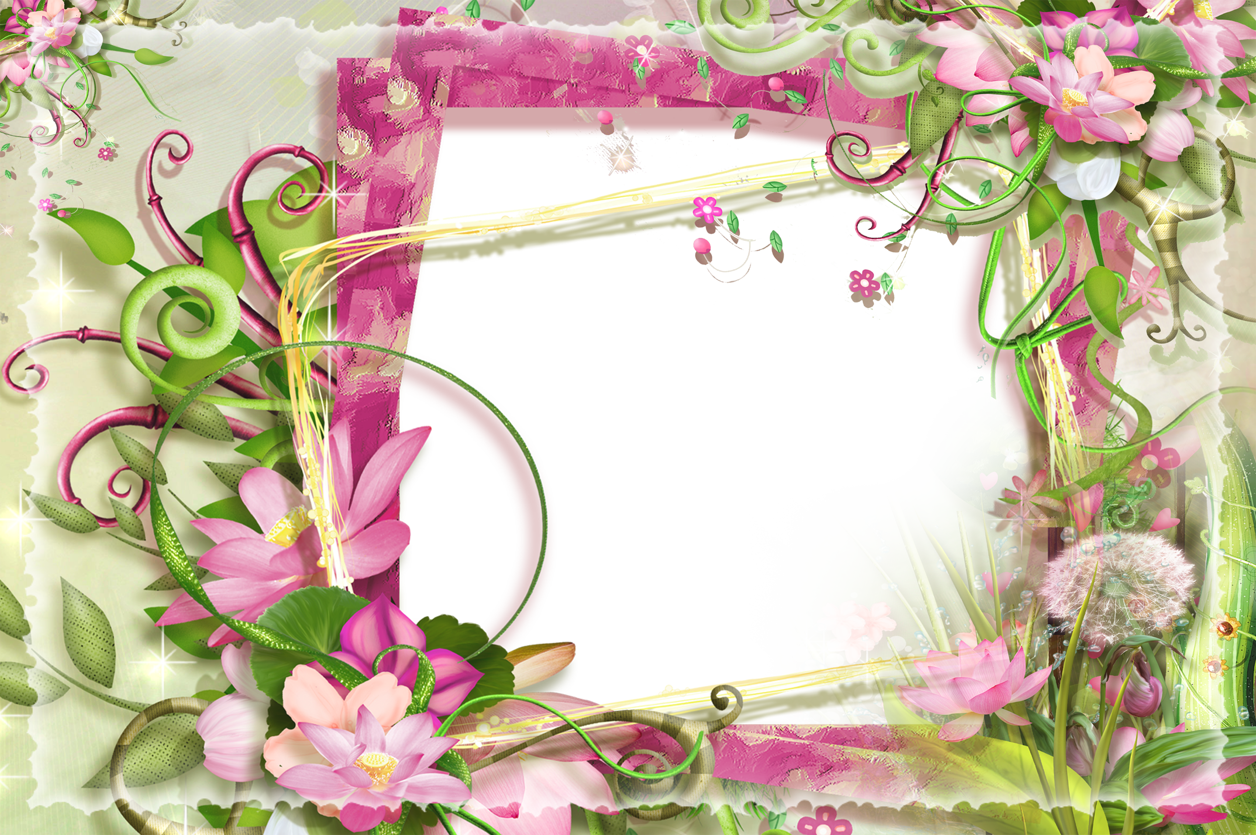 Pink and Green Flowers PNG Frame.