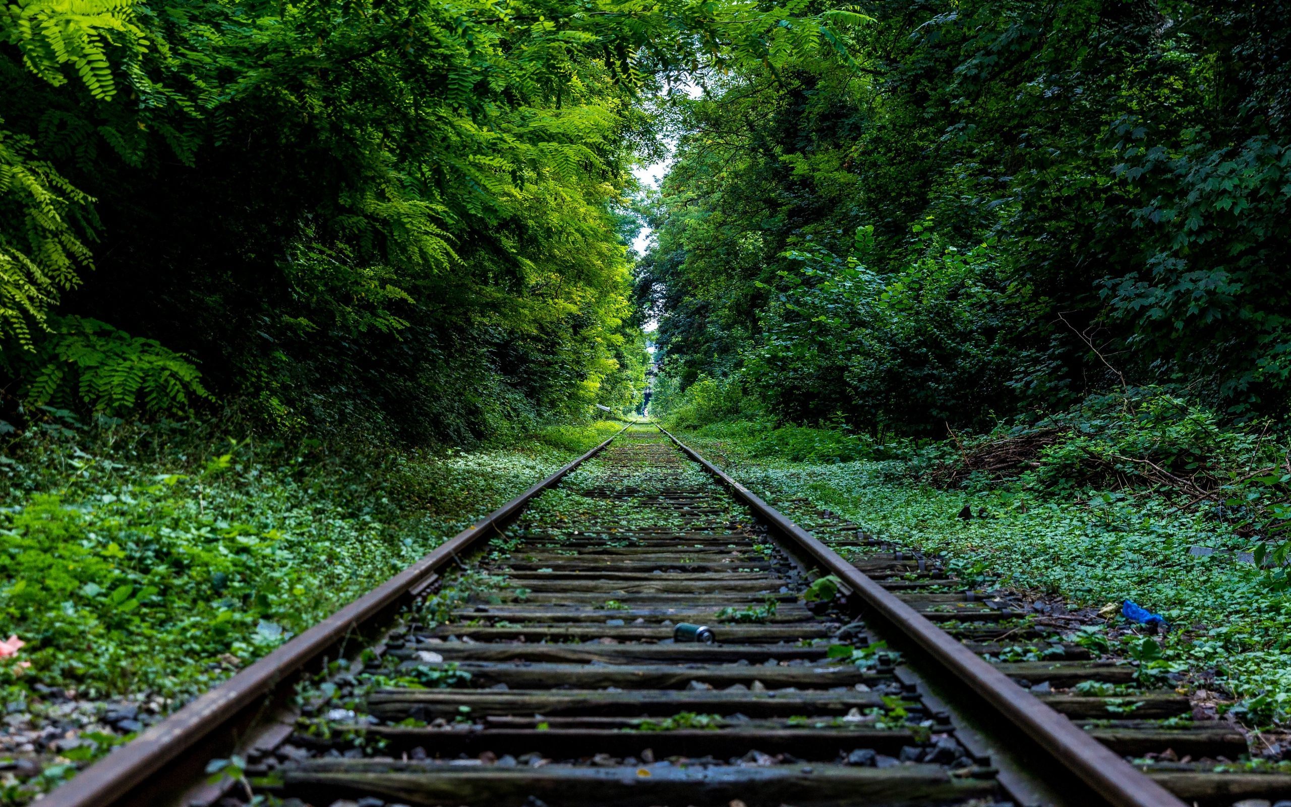 Railtrack in Forest Scenery Wallpaper.