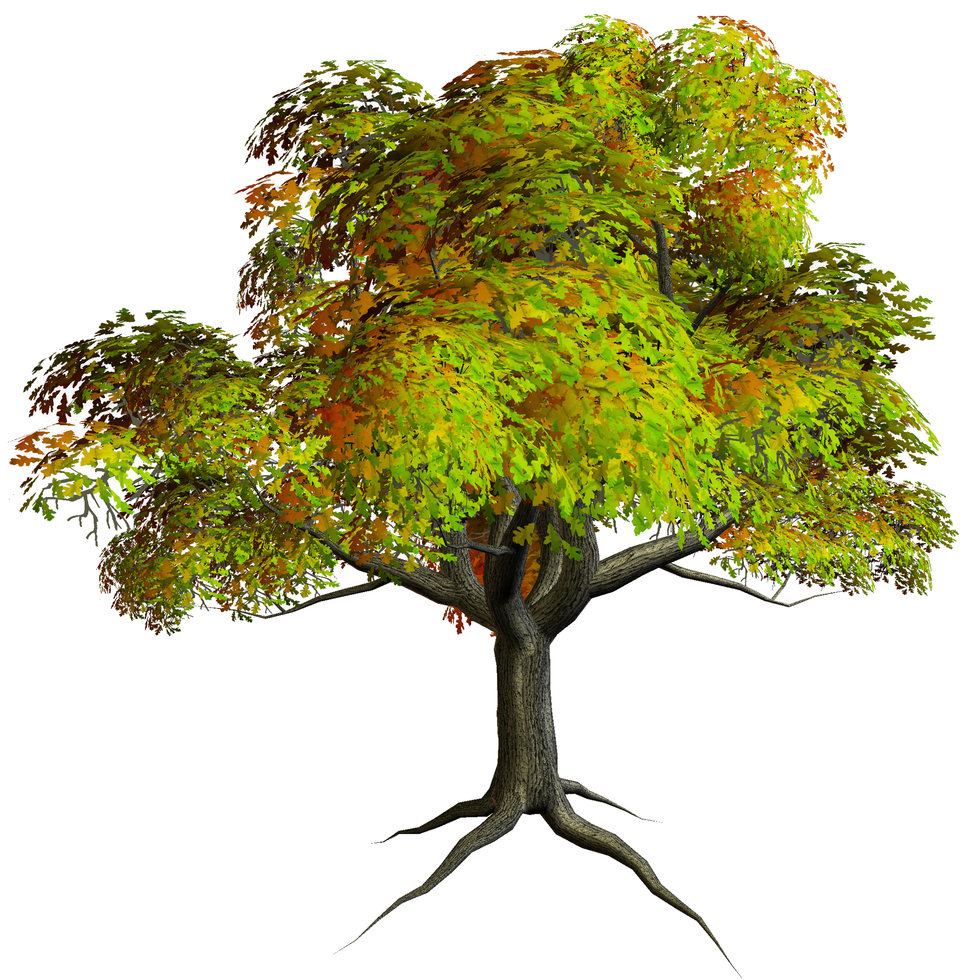 Autumn PNG Tree Clipart.