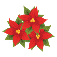 Free Poinsettias Cliparts, Download Free Clip Art, Free Clip.