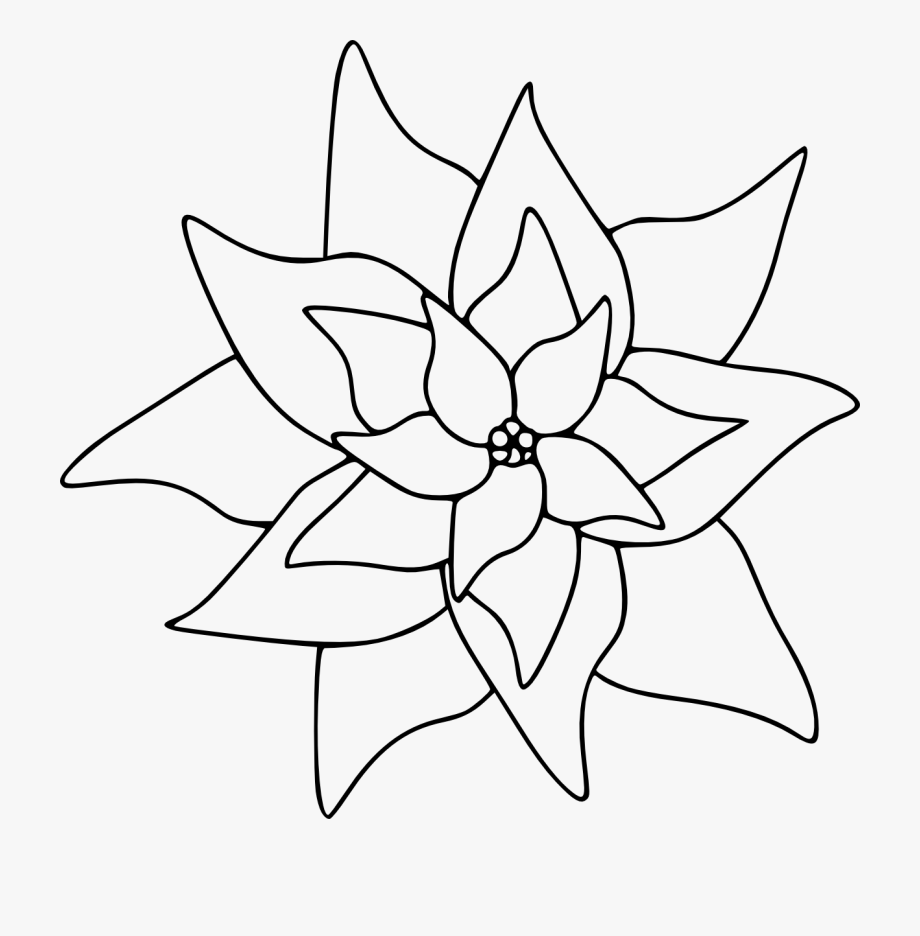 Poinsettia Clip Art Black And White.