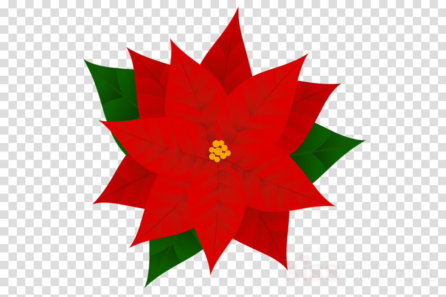 Christmas Poinsettia Clipart clipart.