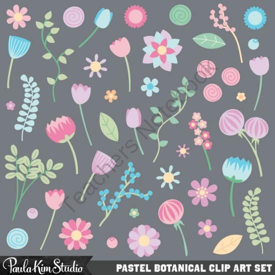 Pastel Flower Clipart from Paula Kim Studio on TeachersNotebook.