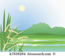 Paddy field Clip Art Illustrations. 177 paddy field clipart EPS.