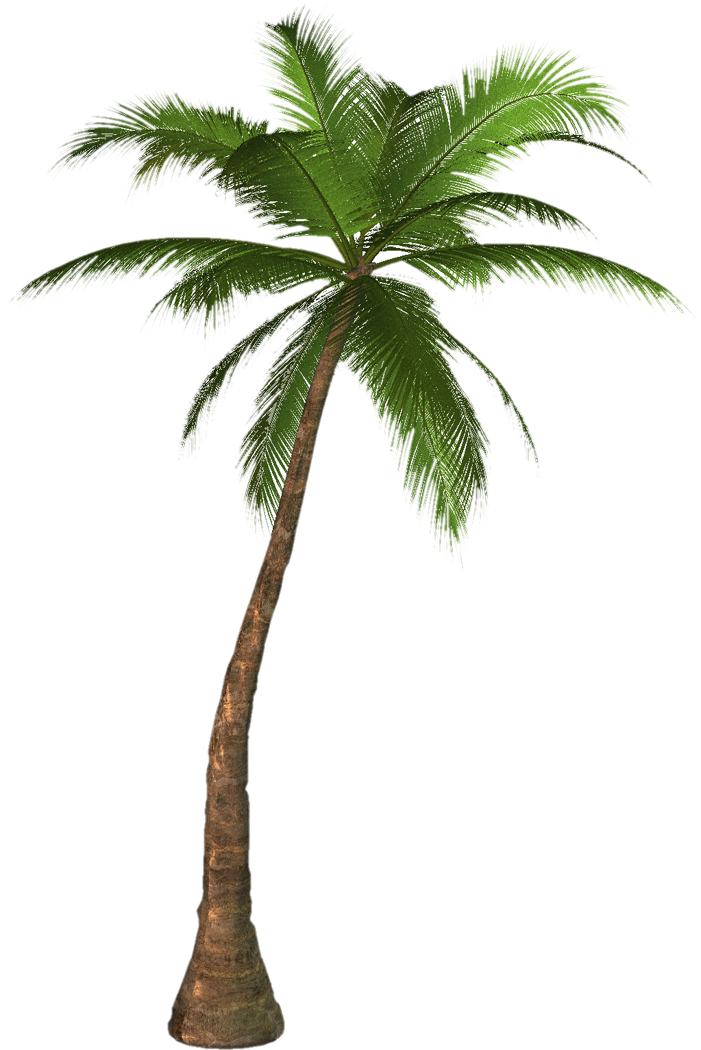 Palm tree PNG images, download free pictures.