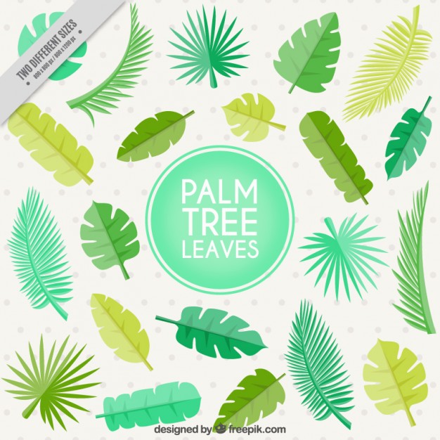 Flat palm tree leaves background Vector.