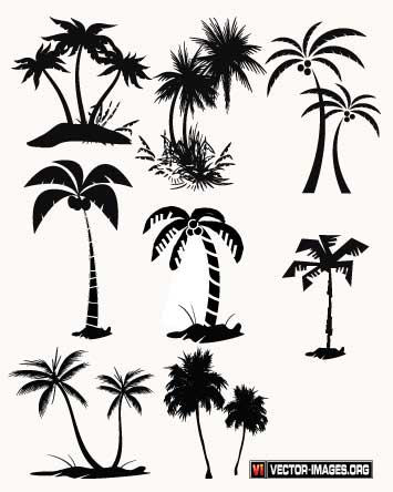 palm tree vector Palm Tree Vector In Ai Format.