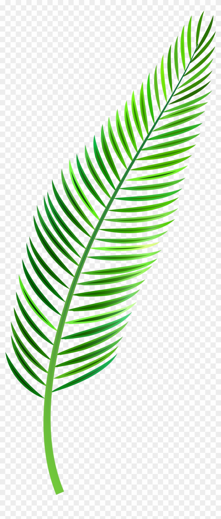 Palm Leaf Png Clip Art.