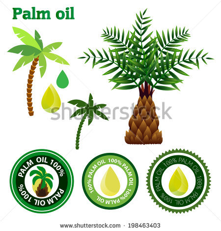 Palm Oil Stock Images, Royalty.