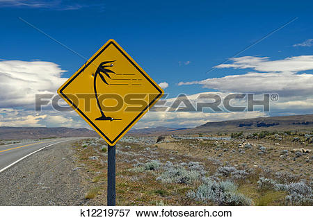 Picture of Strong winds in the pampa near Lago Argentino.