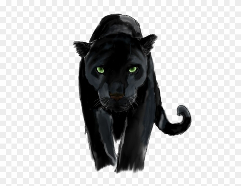 Panther Png Background Image.