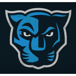 Carolina Panthers Concept Logo.