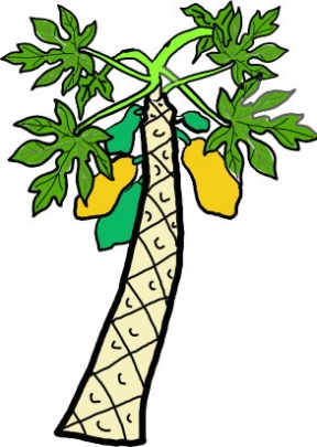 Papaya Clip Art.