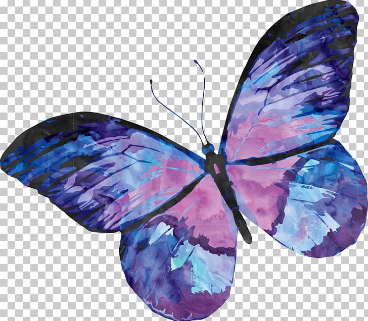 Papillon Dog Butterfly Watercolor Painting PNG, Clipart, Art.