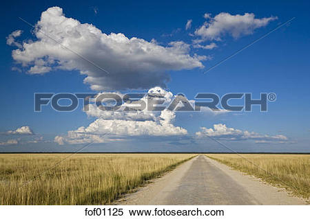 Stock Image of Africa, Namibia, Etosha National Park, Road.