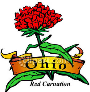 Flower of Ohio, the Red Carnation.