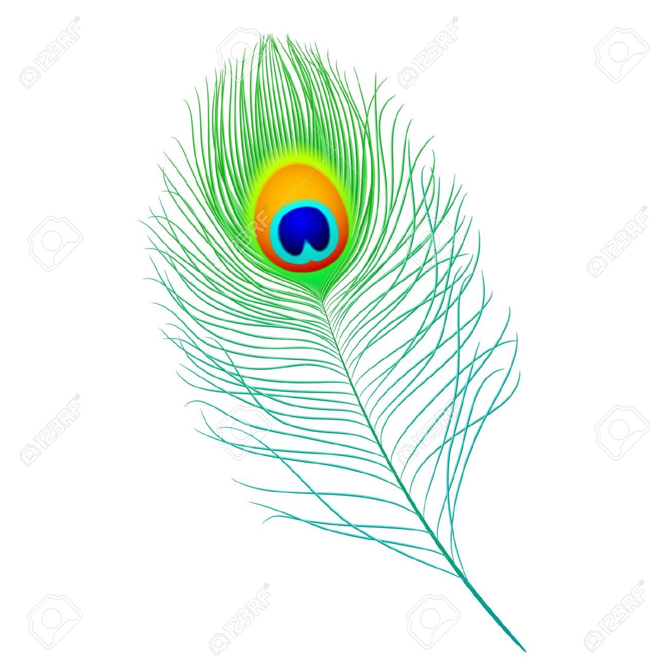 Clipart Of Peacock Feather.