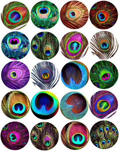 Peacock feather patterns clip art collage sheet 1 inch squares.