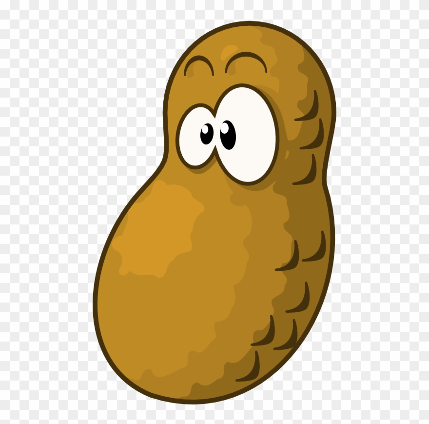 Transparent Peanut Vector.