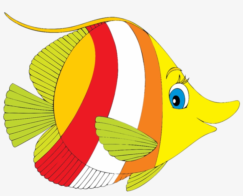 Peces De Colores Png.