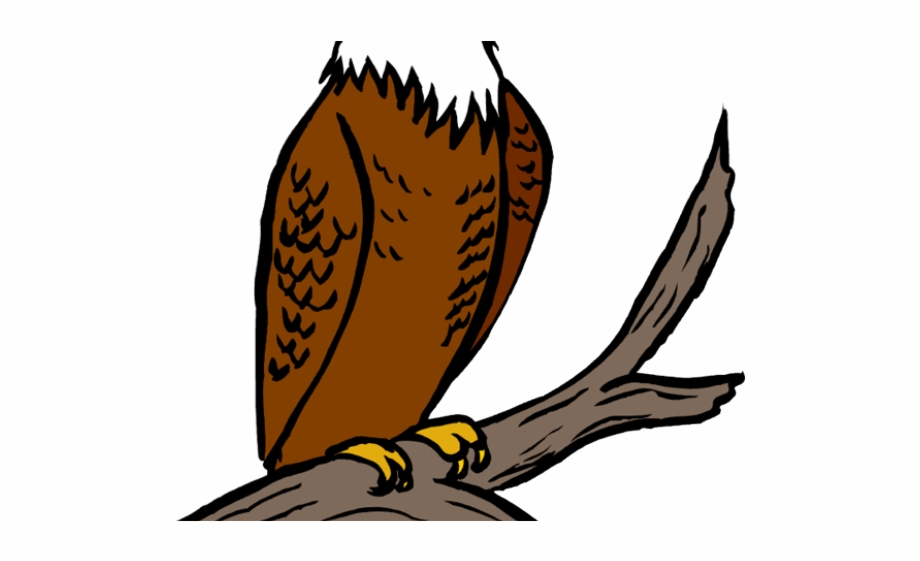 Falcon clipart perched bird, Falcon perched bird Transparent.